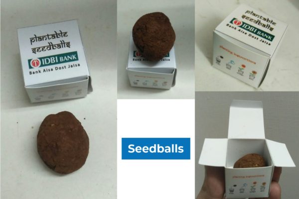 seedballs